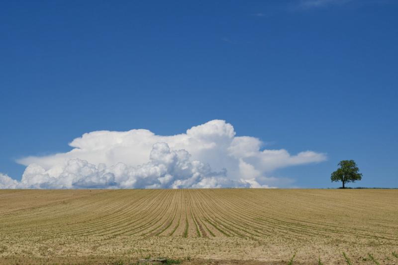 Holnapra még várható egy kis esőcsepp, de utána már ragyogó, gomolyfelhős időre számíthatunk!