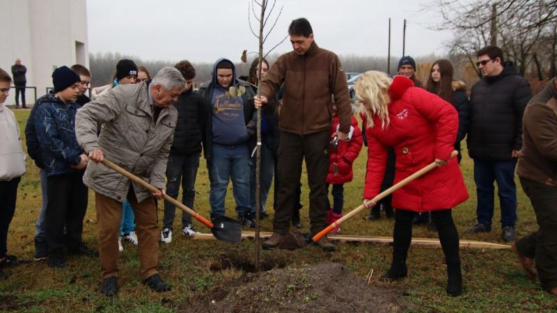 Jövőre ismét folytatódik a népszerű Településfásítási program, amely nagy sikereket ért el az elmúlt években – tájékoztatta a Szabad Föld.