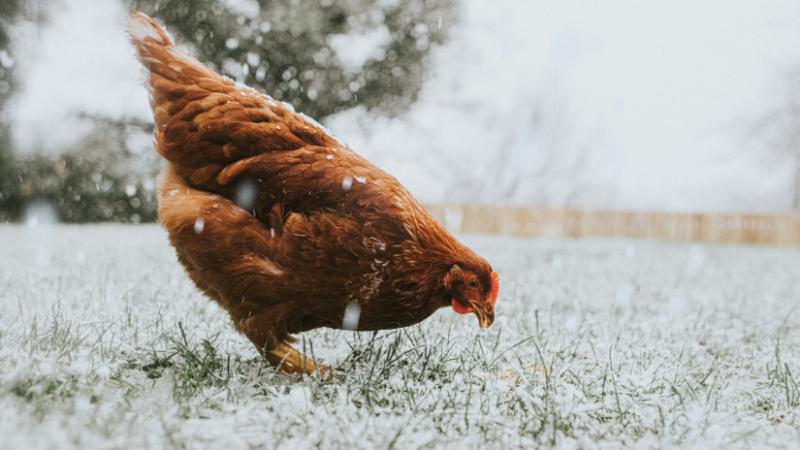 Magyarországot régóta nem sújtotta olyan vihar, mint ami most érkezhet: ez igazán komoly kihívás elé állítja a mezőgazdaságot - Agro Napló