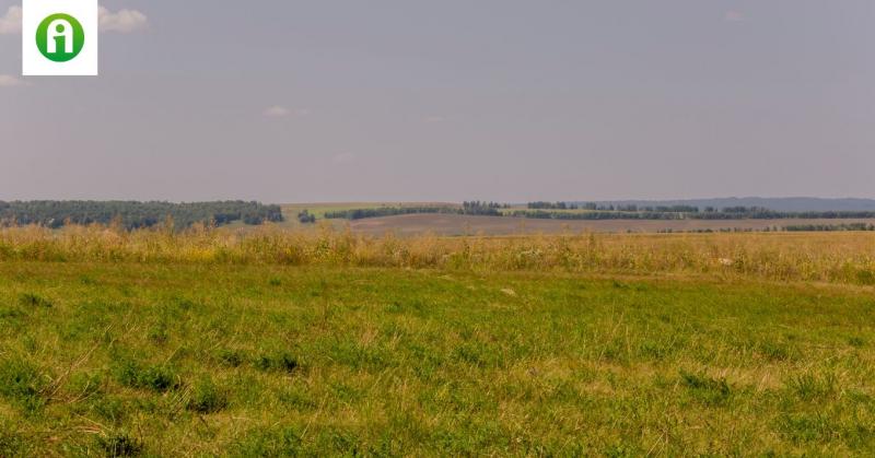 Kiemelkedő határidő közeleg! Azok, akik nem ügyelnek erre, könnyen elveszíthetik a szükséges támogatást.