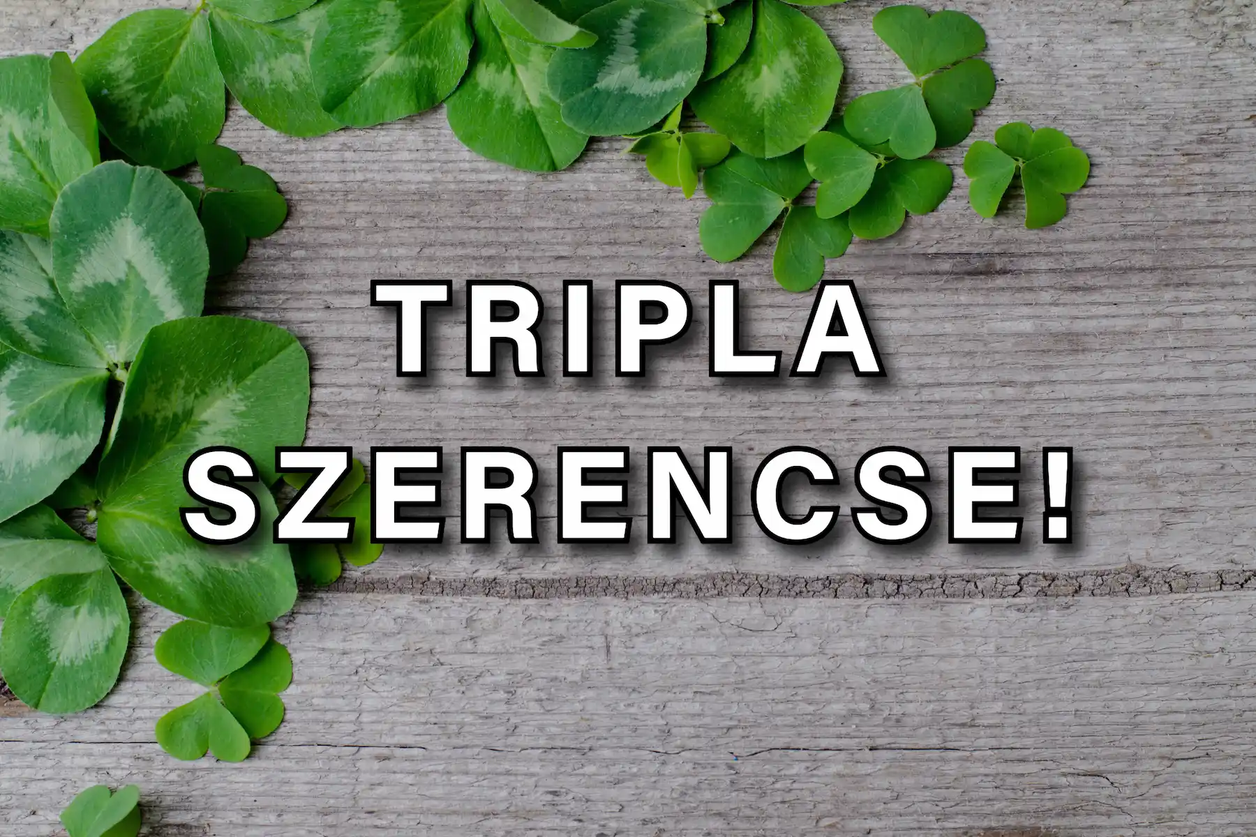 **6 csillagjegy, akik február 17-től különösen szerencsések lehetnek**

A csillagok állása mindig is nagy hatással volt életünkre, és február 17-től hat csillagjegy különleges szerencsével számolhat. Ezek az időszakok új lehetőségeket, váratlan fordulatok