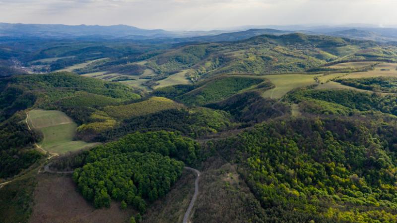 Új pályázati lehetőség érkezik: számos magyar állampolgár örömére milliárdos támogatások kerülnek szétosztásra hazánkban - Agro Napló