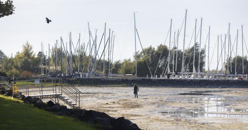Fény derült a Balaton kiszáradásának rejtélyére: a szakértők előrejelzései alapján ez vár a tó jövőjére.